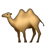 Emoji Natur-58